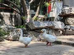 -万柳阁小馆·花园餐厅(龙潭湖店)