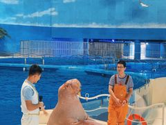 -泉城欧乐堡海洋极地世界