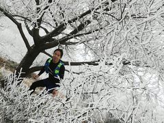 -阳台山自然风景区