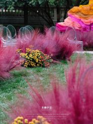 -美薇亭婚礼顾问