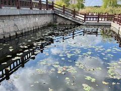 -海天湖公园