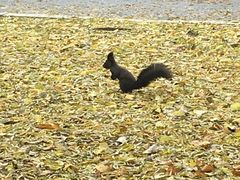 -中国建设银行哈尔滨培训中心