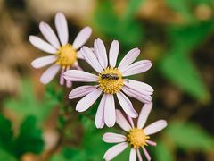 -云峰山自然风景区