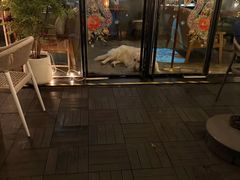 -咖法森林·咖啡  酒吧(天河店)