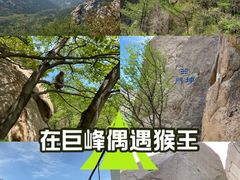 -崂山巨峰游览区