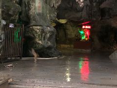 -黔灵山公园-南门售票处