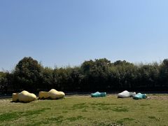 -上海都市菜园