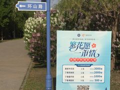 -群力丁香公园