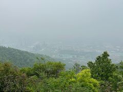 -杭州半山国家森林公园