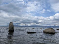 -洱海月湿地公园