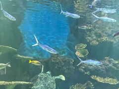 -华夏文旅西安度假区