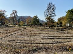 -塔川景区