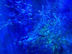 -波塞冬旅游度假区