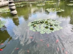 -碧江金楼