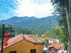 -九华山风景区