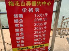 -南京市溧水区傅家边梅花山弄山庄