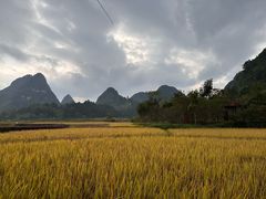-靖西鹅泉风景区