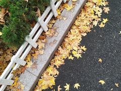 -海平馄饨(逍遥二路店)