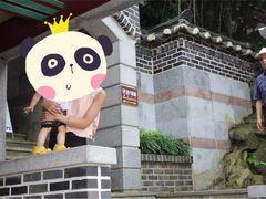 -海东龙宫寺
