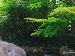 -茅家埠