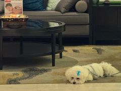 -经禅和·中医推拿(百家湖店)