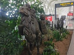 -银川河东国际机场