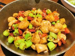 -老板恋上鱼(高新万达店)