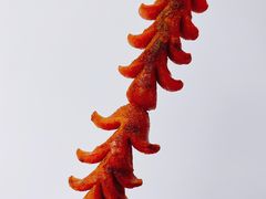 -正新鸡排·炸鸡烧烤(江宁路店)