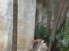 -胶囊画廊