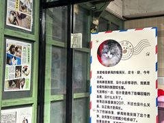 -猫咪博物馆(顶澳仔猫街店)