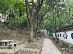 -上海佘山国家森林公园天马山园