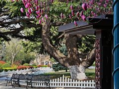 -青岛德国总督楼旧址博物馆