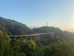-金鸡山公园