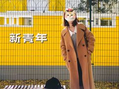 -三里屯东五街银杏大道