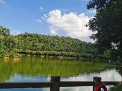 -李小龙乐园(顺德均安店)