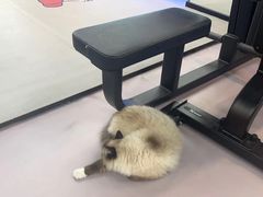-M.S拳击泰拳馆(大学路店)