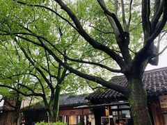 -南花桥羊肉馆老字号(乌镇店)