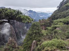 -黄山风景区