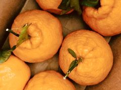 丑橘礼盒-Mr.Fruits水果先生(英蓝金融中心店)