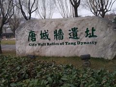 -唐城墙遗址公园