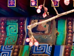 -颐和园