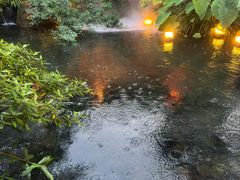 -凤凰山斑鱼馆(恭城店)