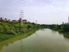 -广东花都湖国家湿地公园