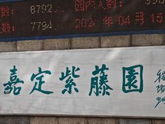 -嘉定紫藤园