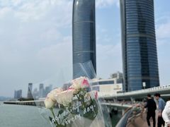 -演武大桥观景平台