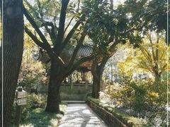 -汇龙潭
