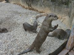 -昆明动物园
