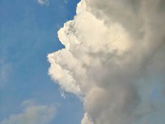 -南通洲际绿博园