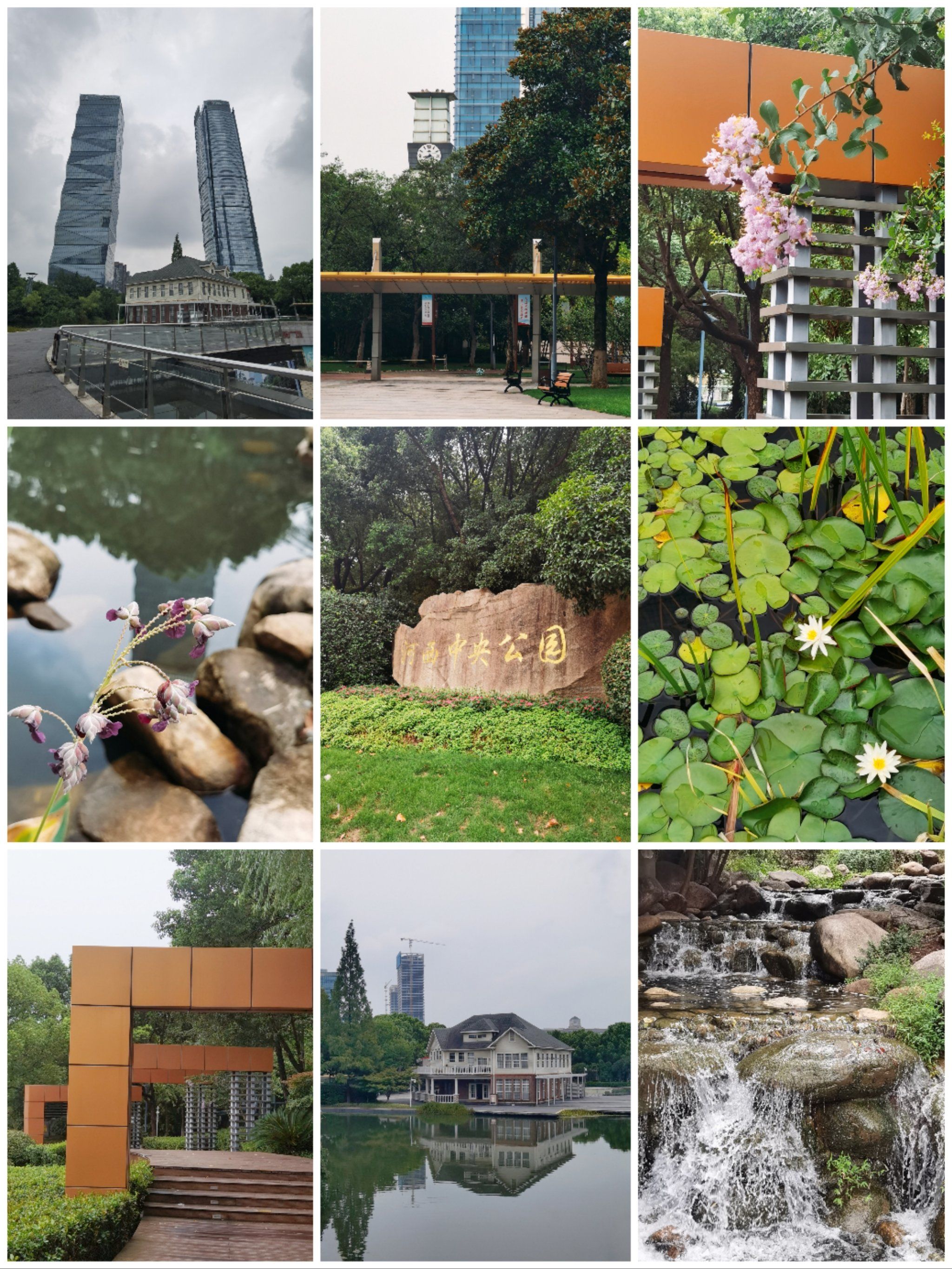 城市公园图鉴|河西中央公园—cbd休闲佳地