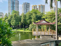 -晓港公园